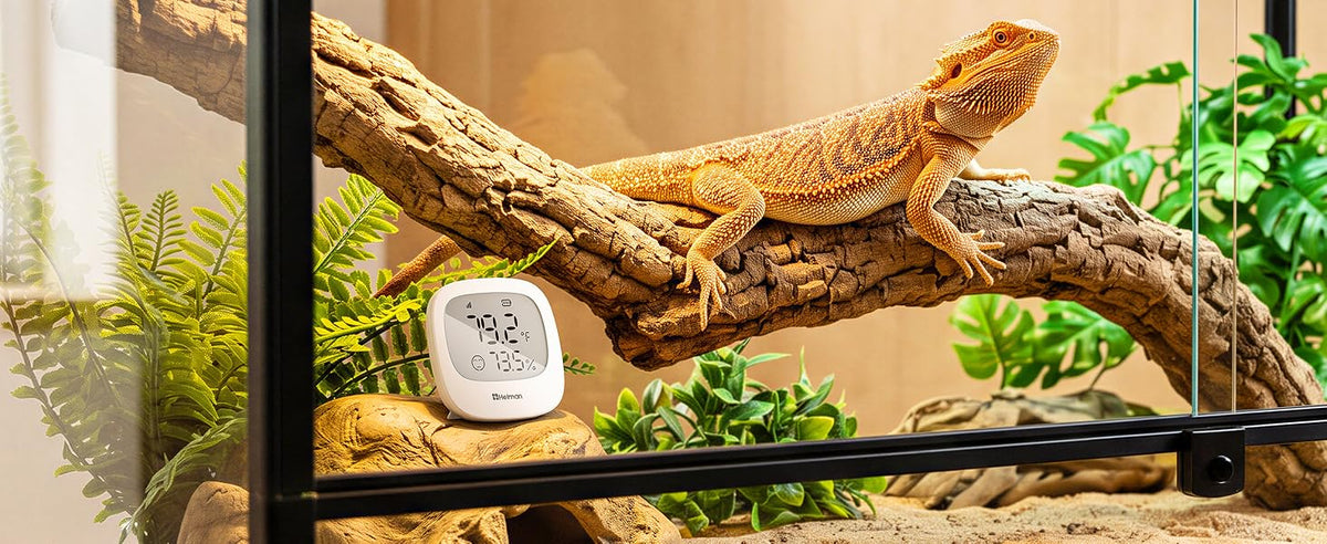 Heiman HS3HT-2R Smart Thermo-Hygrometer ideal for reptile terrariums, monitoring temperature and humidity to ensure a suitable habitat for pets.
