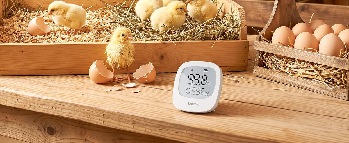 Heiman HS3HT-2R Smart Thermo-Hygrometer perfect for poultry incubation and farming, tracking temperature and humidity to ensure successful hatching.